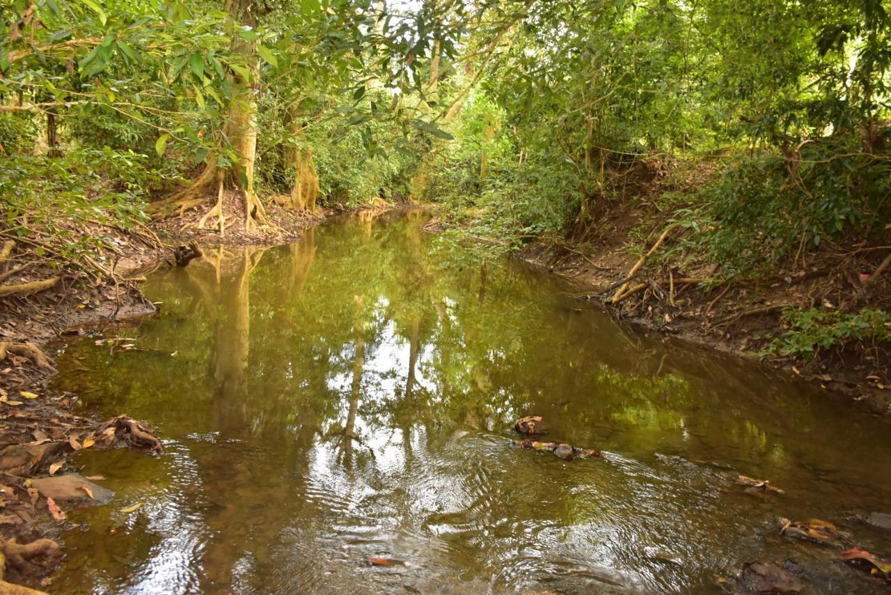 Jungle View River Camping Udawalawe Zewnętrze zdjęcie